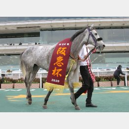 1年前の勝ち馬ベストアクターもここから復帰
