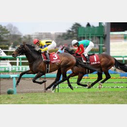12年は逃げた7番人気シルポートが②着