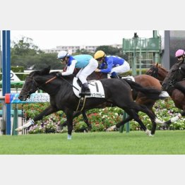 2戦目で初勝利