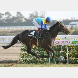 長良川特別を圧勝