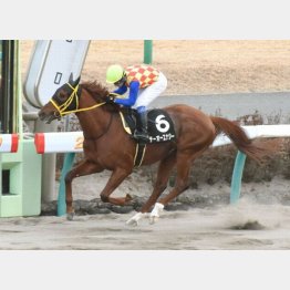 ポルックスSを快勝