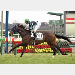 前走は4馬身差の圧勝