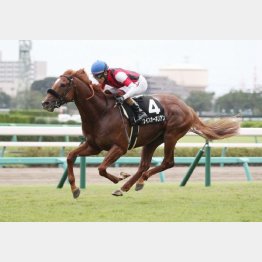 2勝クラスを勝ったのも中山