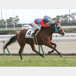 新馬戦は上がり34秒1で差し切り
