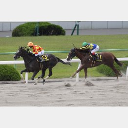 3歳時にはオープン勝ちが
