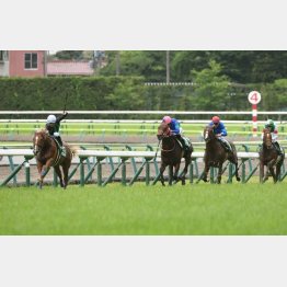 ラジオNIKKEI賞で圧巻の逃げ切り(左)