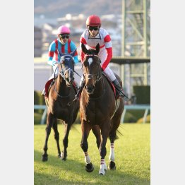 阪神C勝ちはハイレベル