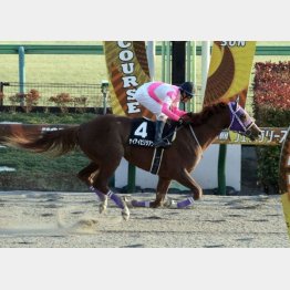 先週の◎は完勝したが……