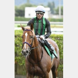 ラジオNIKKEI賞は5馬身差