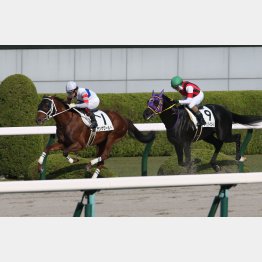 2走前はこの舞台で勝利
