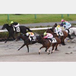 引き続き相性のいい中山が舞台