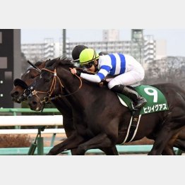 前走の中山金杯で初タイトル