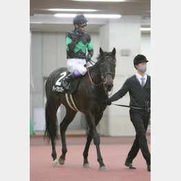 450キロ台の馬体も父譲り