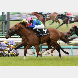 中山で2勝