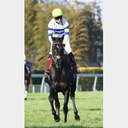 ①着ヒシイグアス(松山騎手)「乗るたびに良くなり、強い馬だと感じています」