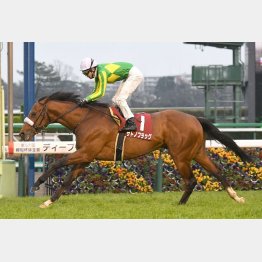 昨年は武豊サトノフラッグが差し切り