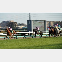 14年は前走2ケタ着順馬が②③着