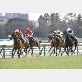 中山千二で連勝