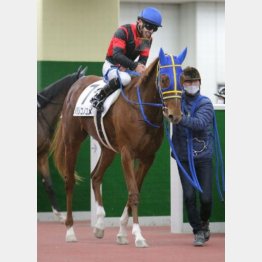 新馬勝ちは4番人気