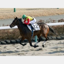 同舞台で1勝クラス勝ち