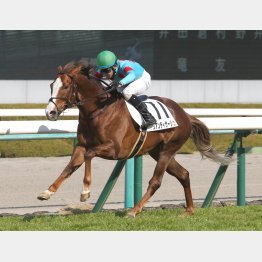 前走は阪神マイルで1分32秒9の好時計勝ち