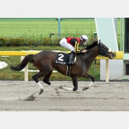 2勝クラスVも7F戦だった
