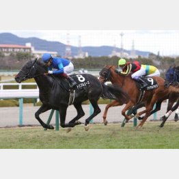 前走は内容良化の②着