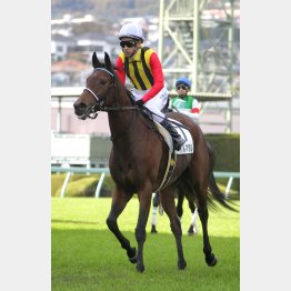 荒れ馬場が合う