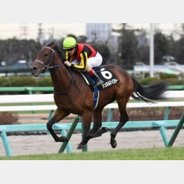 ひいらぎ賞を圧勝