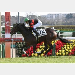 同じ舞台でデビュー勝ち