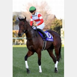 無敗で最優秀2歳牡馬に