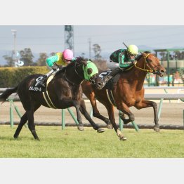 天竜川特別はインから差し切り