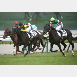 新馬戦でV