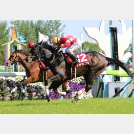 3歳時に京都新聞杯で重賞勝ち