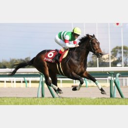 昨年の勝ち馬はサートゥルナーリア