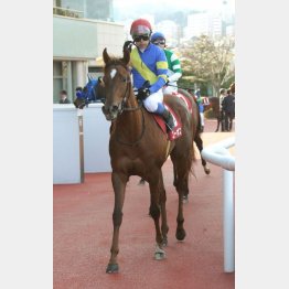 昨年は5番人気エーポスが勝って11万馬券に