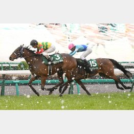 昨年は14番人気リュヌルージュが②着