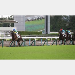 未勝利勝ちは雨の不良馬場