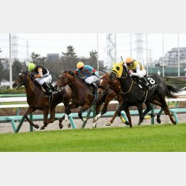 同舞台の常総Sを逃げ切り勝ち