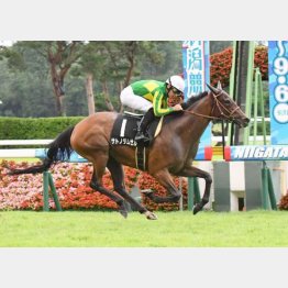 重馬場の佐渡S勝ち