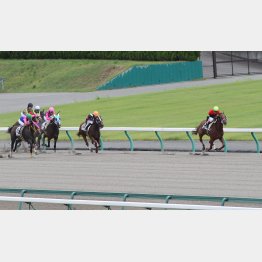 1勝級勝ちも中京で圧勝だった