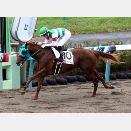 昨秋にこの舞台で1勝クラスを卒業