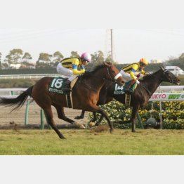 愛知杯では首差の②着