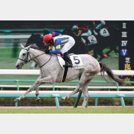 中山で新馬勝ち