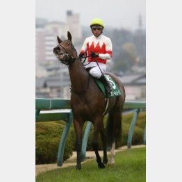ファンタジーS②着は価値あり