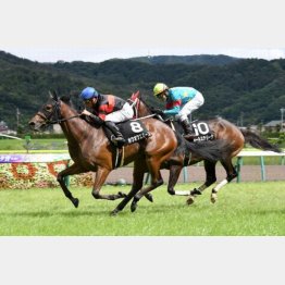 重馬場の織姫賞をⅤ。馬場が渋っても問題なし