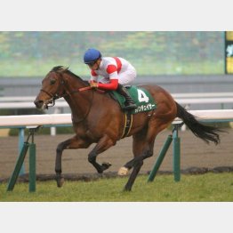3歳時にきさらぎ賞勝ち