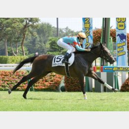 新馬戦は7番手から鮮やかに差し切った