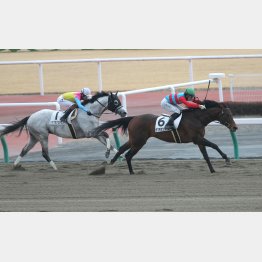 前走Vに成長あり