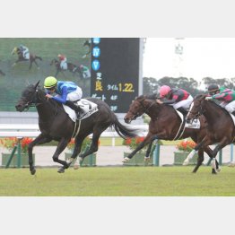 新馬戦勝ちも千四